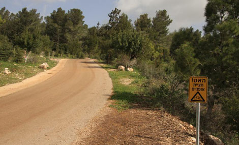 Photo: Yaakov Shkolnik.