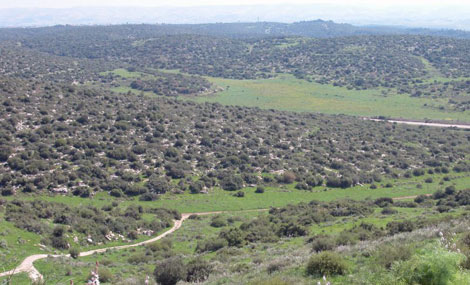 View from Tel Goded. Photo: Yaakov Shkolnik.