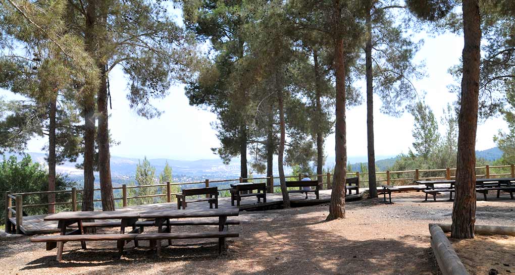 Photograph: KKL-JNF Photo Archive