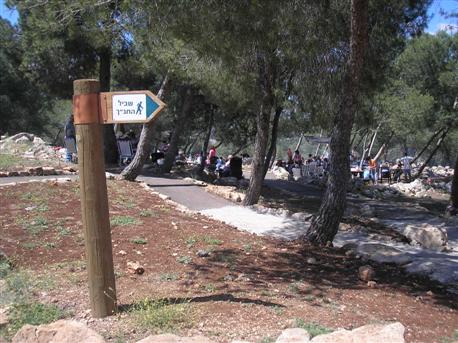 The Bible Trail in the Gilboa Forests. Photo: KKL-JNF archive.