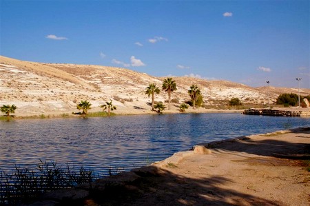 Photo: KKL-JNF Photo Archive