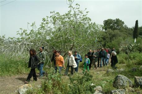 Walking in the President’s Forest. Photo: Avi Hayun.