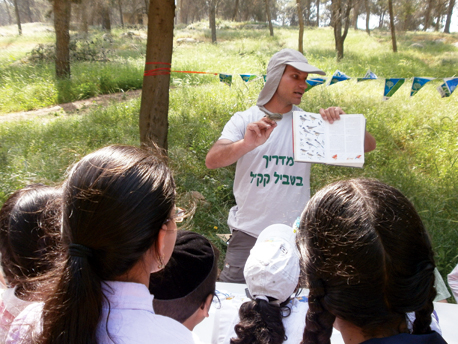 KKL-JNF guidance in the forest. Photograph: Mira Zer