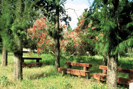 A rest spot in Ilanot Forest
