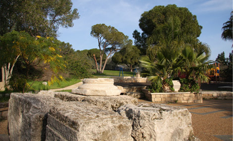 Photo: Yaakov Shkolnik.