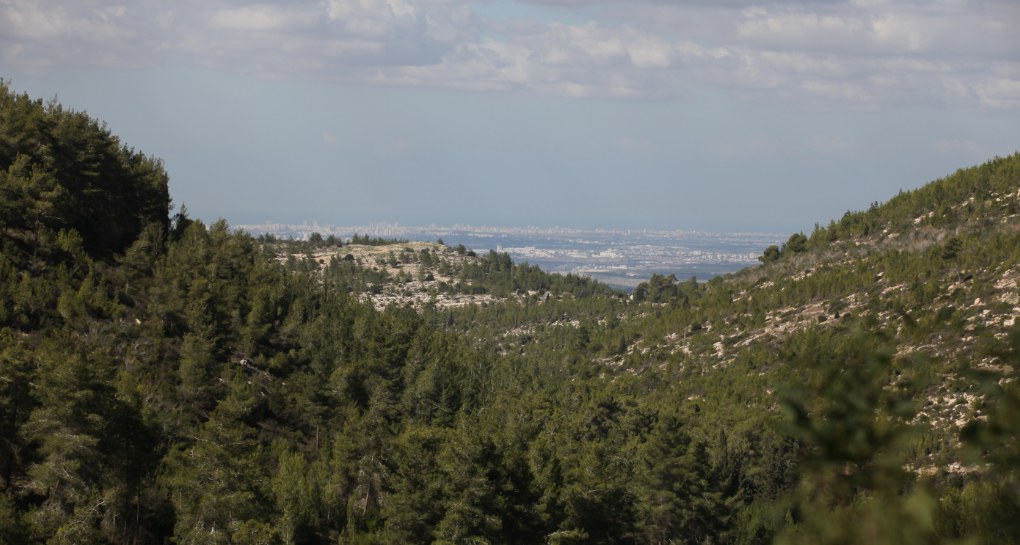 Photo: KKL-JNF Photo Archive