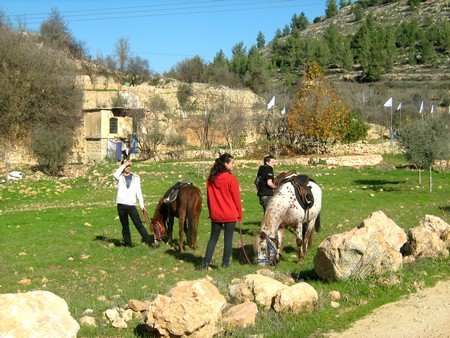 Photo: KKL-JNF Photo Archive