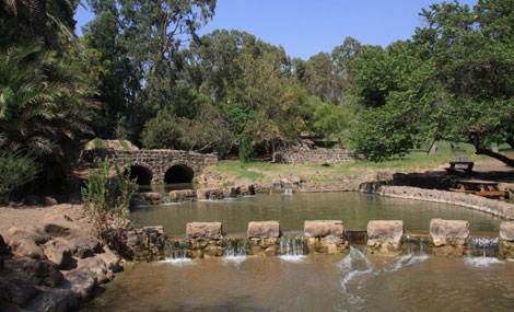 Photo: Yaakov Shkolnik