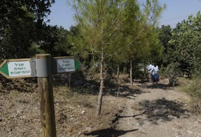 Photo: Tomer Noiberg