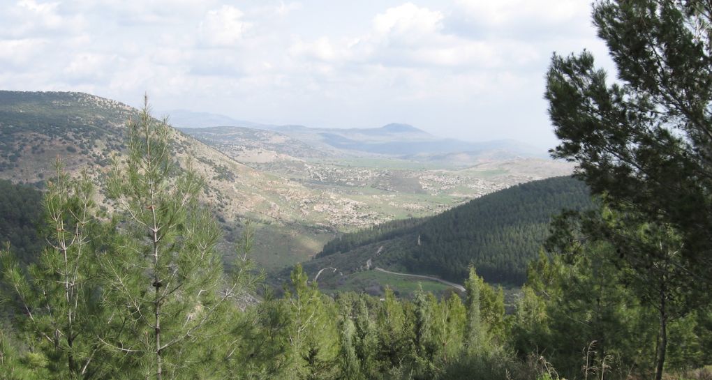 Photograph: KKL-JNF Photo Archive