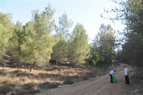 Children cleaning the forest. Photo: Guy Assayag.