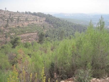 (Photo: Yoav Devir, KKL-JNF Photo Archive)