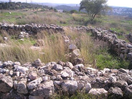 Rosh HaAyin Forest. Photo: Moshe Scheller.