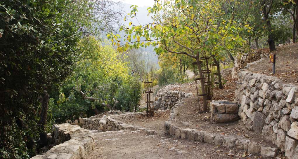 Photo: KKL-JNF Photo Archive