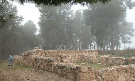 Karua Ruins. Photo: Yaakov Shkolnik.