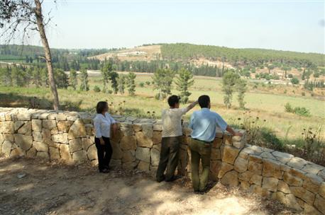 Hamalachim Forest view. Photo: KKL-JNF Archive.
