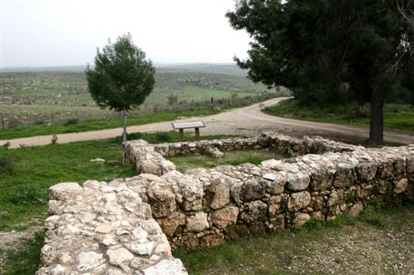 Observation point in Hamalachim Forest. KKL-JNF Photo Archive.