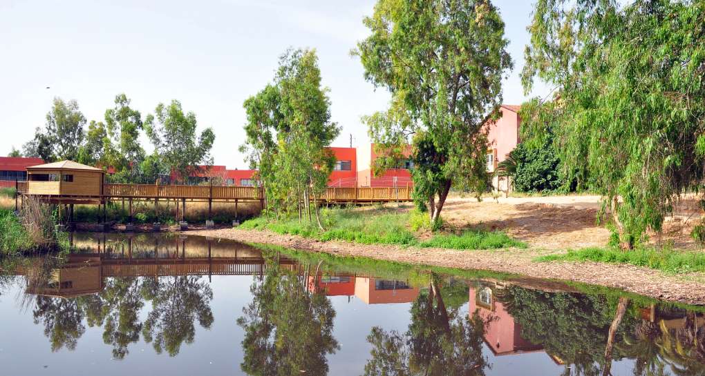 The Shafir Winter Pond. photo: Rafi Ben Hakon