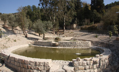 Photo: Yaakov Shkolnik