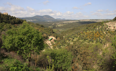 View to Mount Meron. Photo: Yaakov Shkolnik