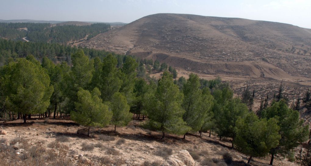 Photo: KKL-JNF Photo Archive