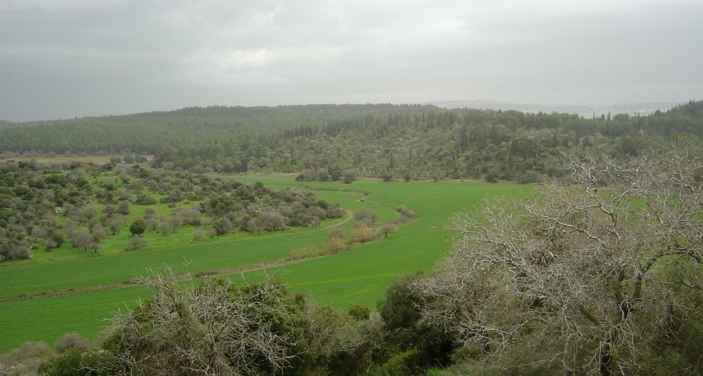 Photo: KKL-JNF Photo Archive