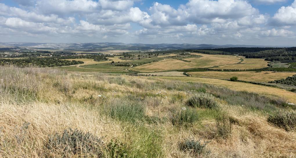 Photograph: KKL-JNF Photo Archive