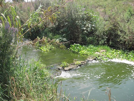 Alexander river. Photo: Yoav Devir.