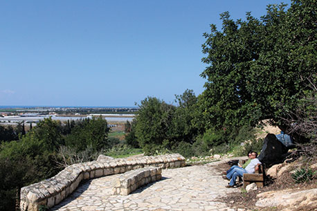 Photograph: KKL-JNF Photo Archive