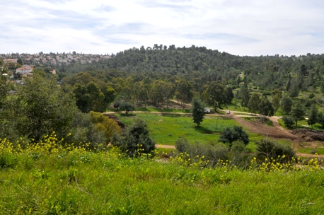 Photograph: KKL-JNF Photo Archive