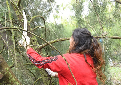 Photo: Yossi Ifergan, KKL-JNF Photo Archive