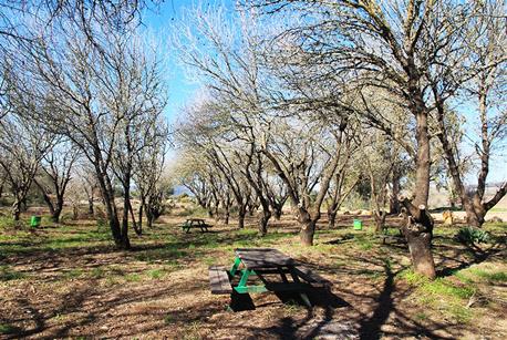 Photograph: Yaacov Shkolnik, KKL-JNF Photo Archive