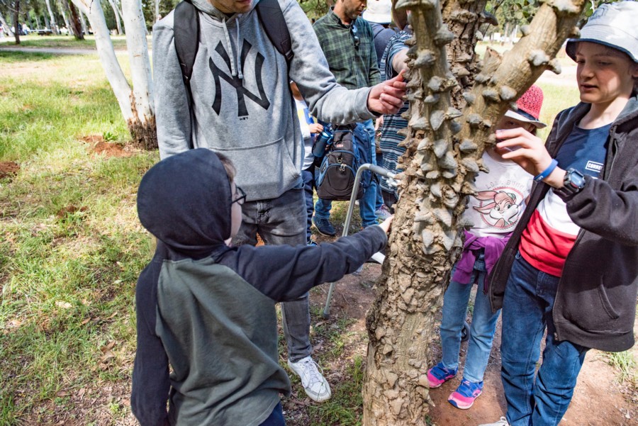 Exploring trees through touch. Photo: Dennis Zinn, KKL-JNFExploring trees through touch. Photo: Dennis Zinn, KKL-JNF