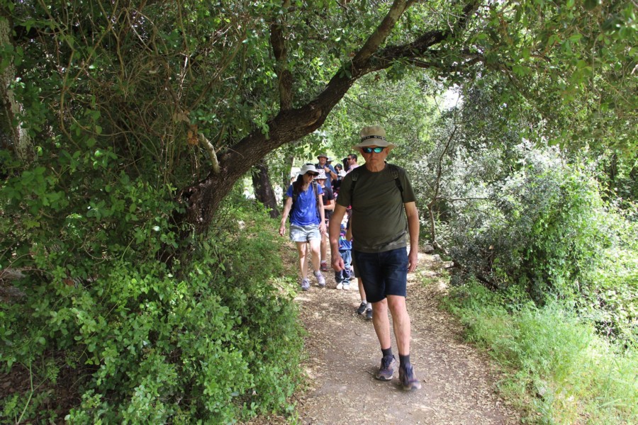 The accessible Shimshit Trail, between the trees. Photo: Yoav Devir, KKL-JNF