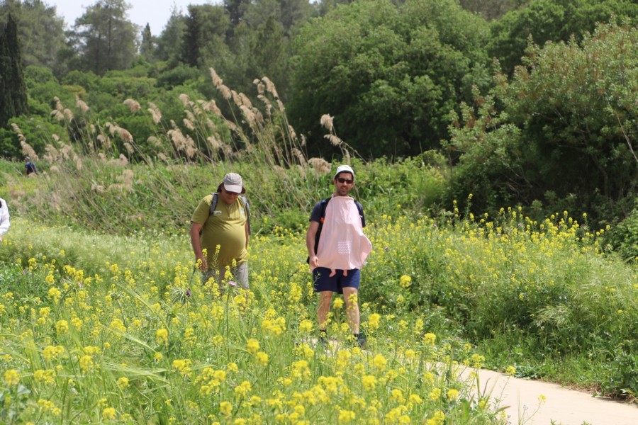 The accessible Shimshit Trail, among the wildflowers. Photo: Yoav Devir, KKL-JNF