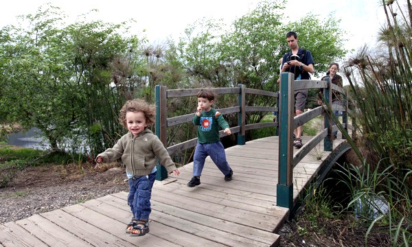 Children in Hula Lake Park. Photo by Yossi Zamir, KKL-JNF Photo Archive
