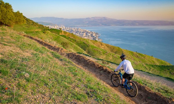 Riding on the Swiss Forest bike trail next to Lake Kinneret. Photo by Ilan Shaham