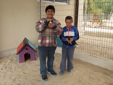 The animal corner at the Arava Children's Environmental Center in Sapir's