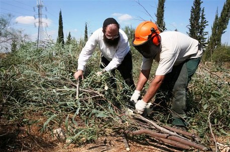 Photo: Gilad Kablarchic