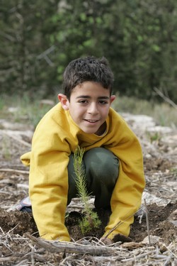 Planting a tree. KKL-JNF Photo Archive