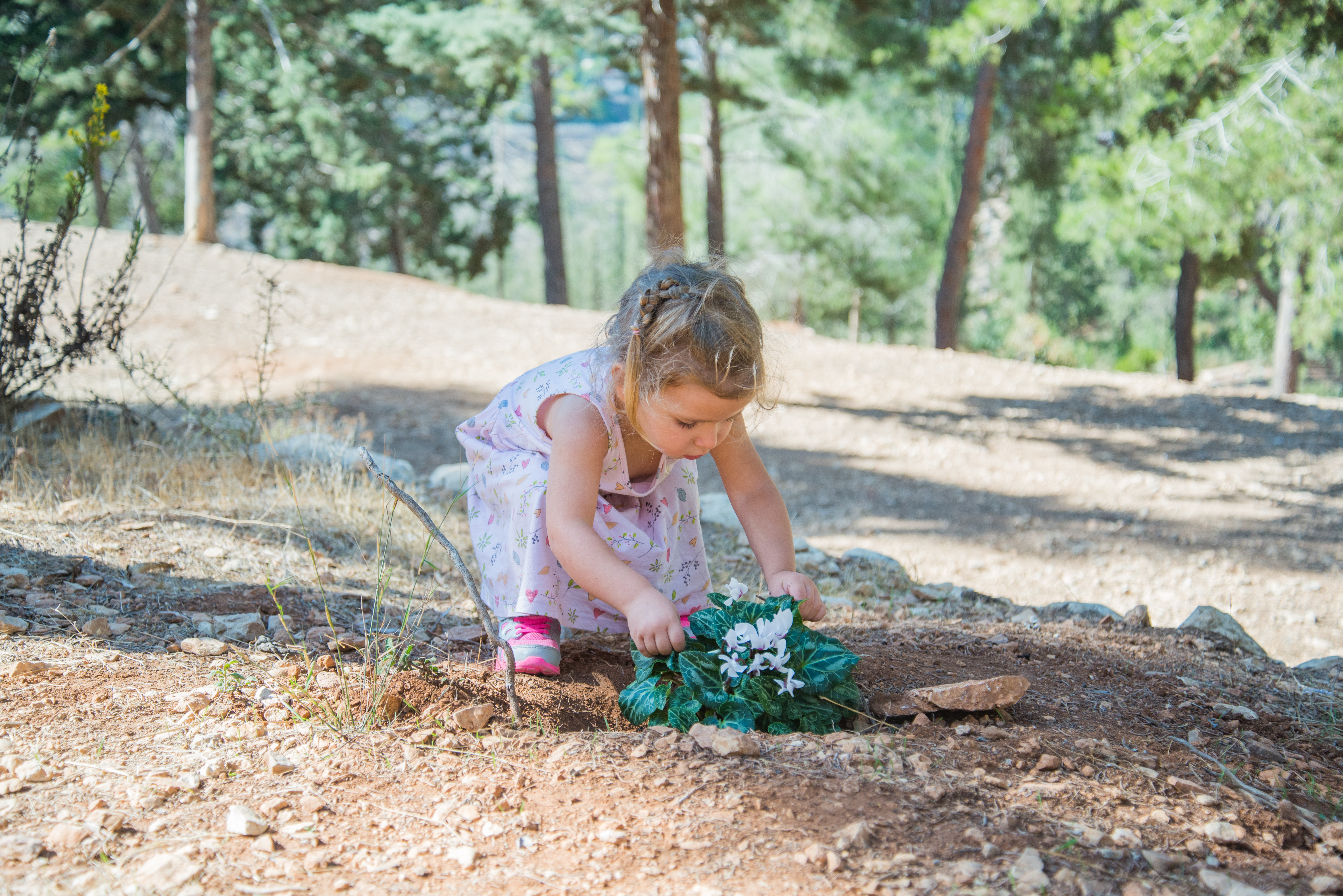 Photograph: Naomi Hadari, KKL-JNF Photo Archive