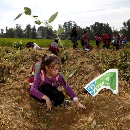 Planting a tree for Tu Bishvat in Shokeida. Photo: KKL-JNF Photo Archive

