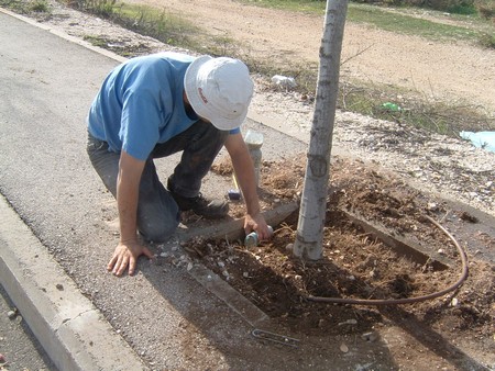 Photo: KKL-JNF Photo Archive