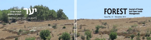 Professional Materials