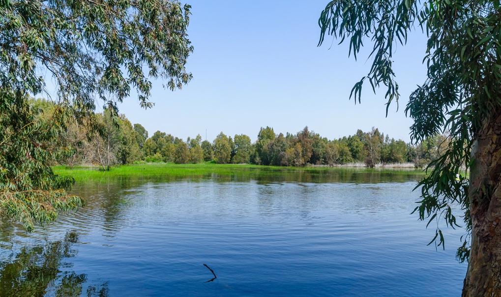 Birkat Ata nature reserve. Photo: shutterstock