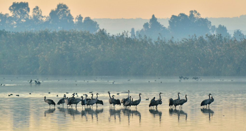 Photograph: KKL-JNF Photo Archive