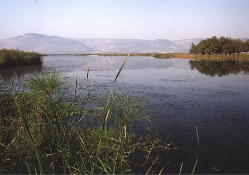 Photograph: KKL-JNF Photo Archive