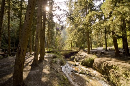 HaShofet River. Photographer: Eyal Bartov, KKL-JNF Jerusalem