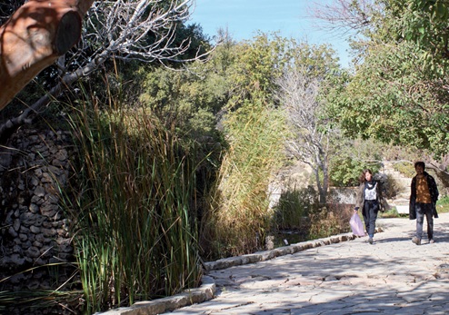 The Mount Scopus Botanical Garden
